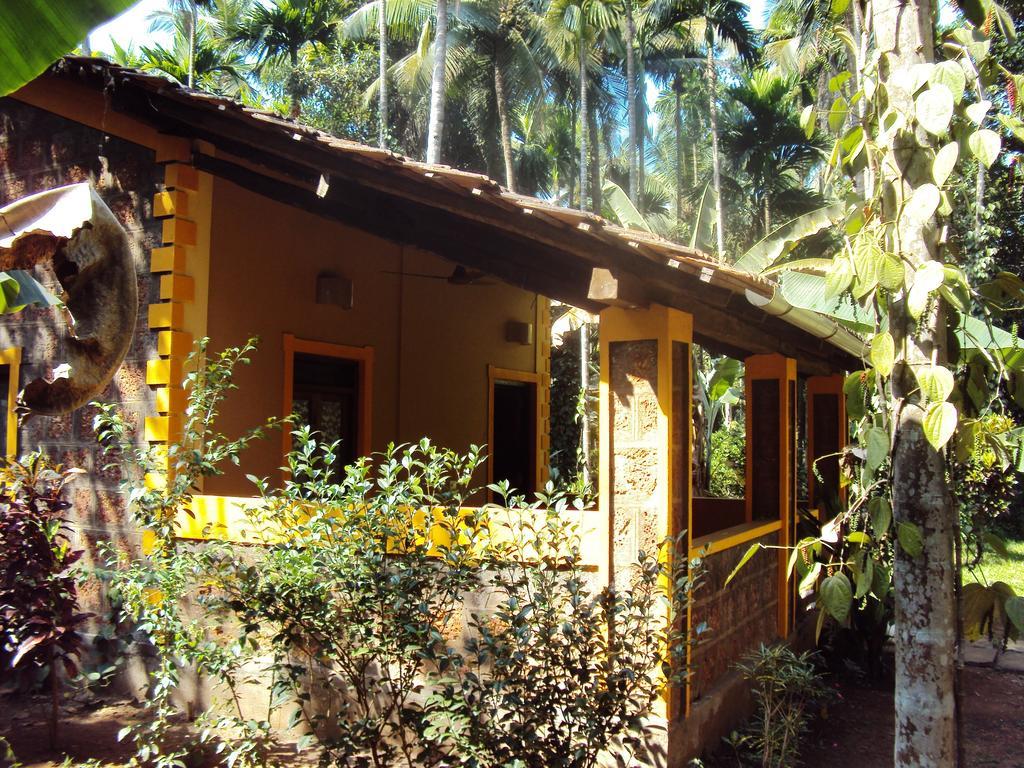 Dudhsagar Plantation Villa Cormonem Exterior photo