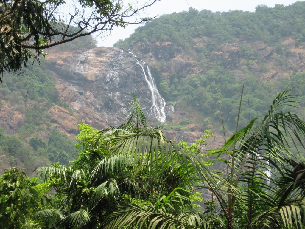 Dudhsagar Plantation Villa Cormonem Exterior photo