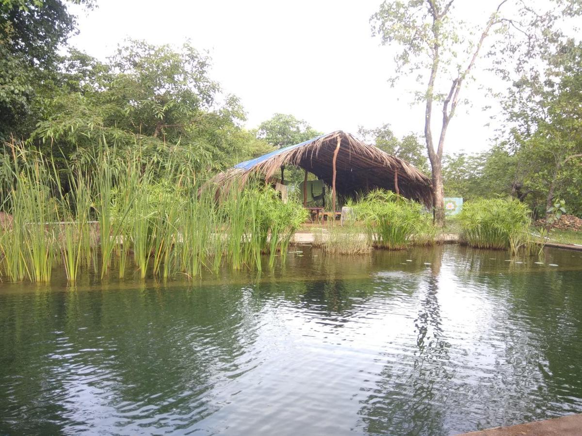 Dudhsagar Plantation Villa Cormonem Exterior photo